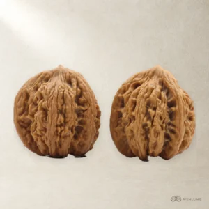 Authentic Tiger Head Triangular Walnut, Natural Wild Hemp Walnut, Collection-Grade Handicraft, Playable & Color-Changing, Perfect Gift Choice — exact Wenwan walnut pair, view 1