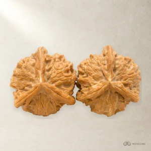 Here’s a polished, more marketplace-friendly version: — exact Wenwan walnut pair, view 1