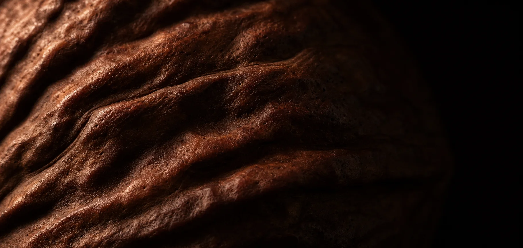Macro texture of a Wenwan walnut — AI placeholder