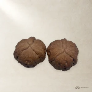 Premium Matched Literati Walnuts | 100:1 Strict Selected Export Grade Bulk Wholesale — exact Wenwan walnut pair, view 1