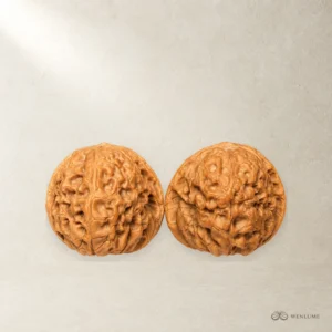 Product Name: Reunion Wenwan Walnuts — exact Wenwan walnut pair, view 1