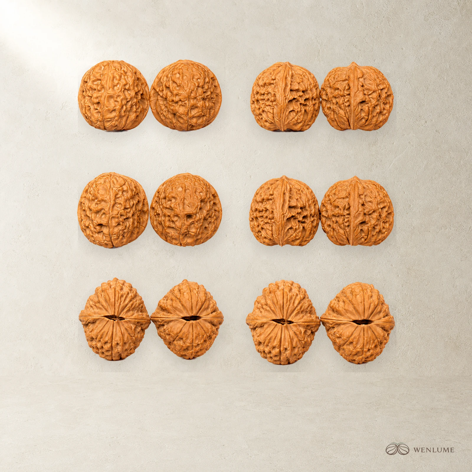 Product Name: Reunion Wenwan Walnuts — exact Wenwan walnut pair, view 2