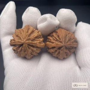 Apple Four-Ridge Wenwan Walnut Pair — Exact Pair 95 — exact Wenwan walnut pair, view 1