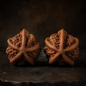 AI placeholder image of a Four-Ridge Wenwan walnut pair